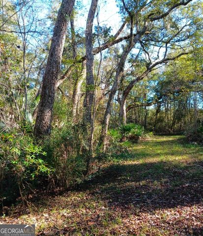 1962 Butler Johnson Road, White Oak, GA 31568