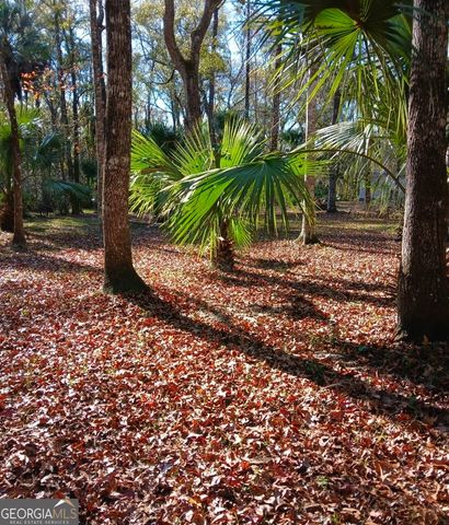 1962 Butler Johnson Road, White Oak, GA 31568