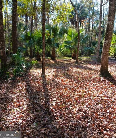 1962 Butler Johnson Road, White Oak, GA 31568