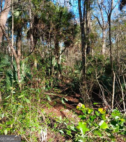 1962 Butler Johnson Road, White Oak, GA 31568