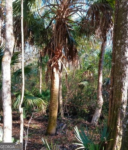 1962 Butler Johnson Road, White Oak, GA 31568