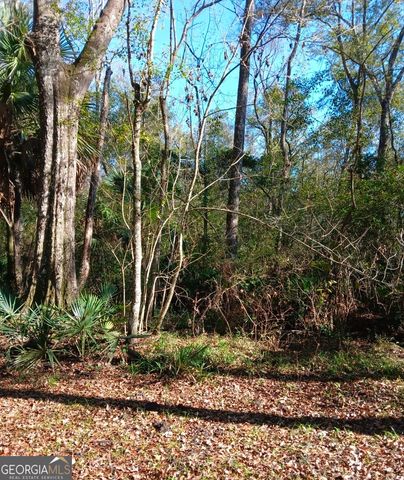 1962 Butler Johnson Road, White Oak, GA 31568