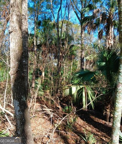 1962 Butler Johnson Road, White Oak, GA 31568