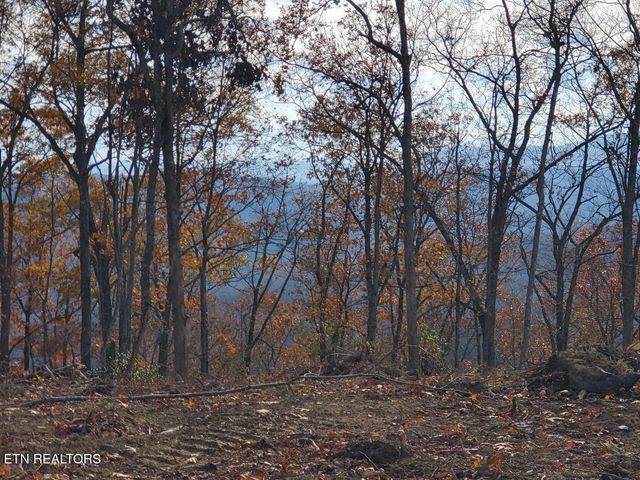 Bull Creek Lot 3, Huntsville, TN 37756