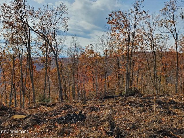 Bull Creek Lot 3, Huntsville, TN 37756