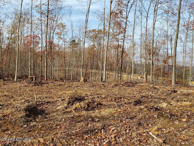 Bull Creek Lot 3, Huntsville, TN 37756