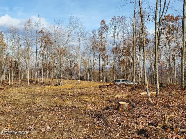 Bull Creek Lot 3, Huntsville, TN 37756