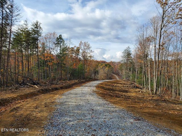 Bull Creek Lot 3, Huntsville, TN 37756