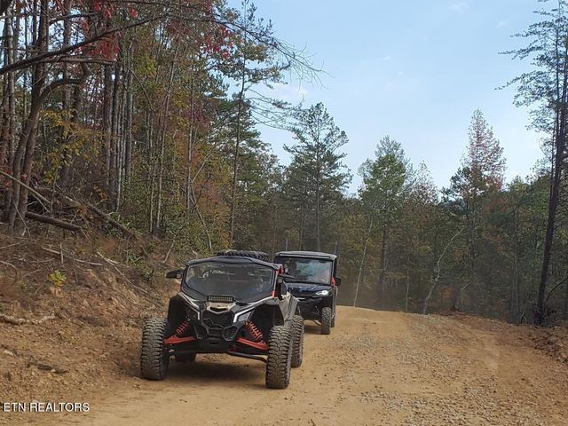 Bull Creek Lot 3, Huntsville, TN 37756