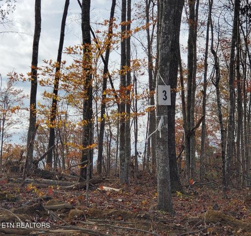 Bull Creek Lot 3, Huntsville, TN 37756