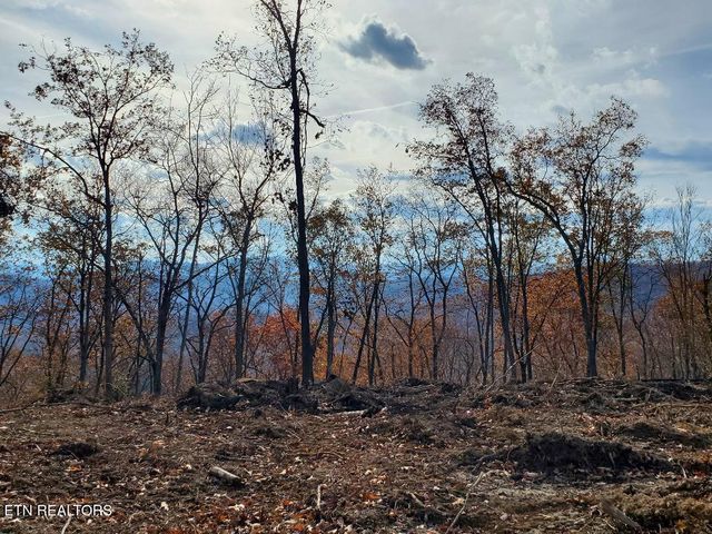 Bull Creek Lot 3, Huntsville, TN 37756