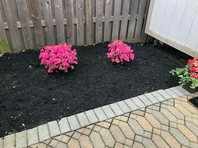 524 Woodingham Place, 3B, Columbus, OH 43213