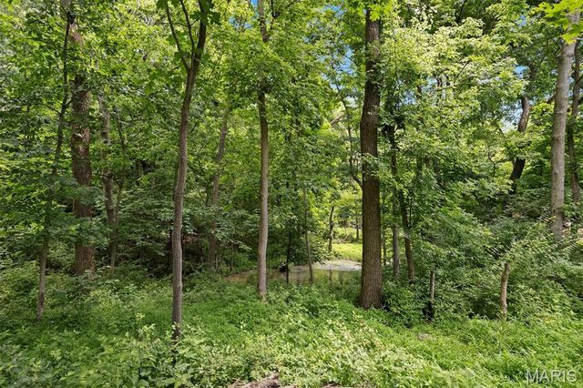 5 Ginger Woods Court, Glen Carbon, IL 62034