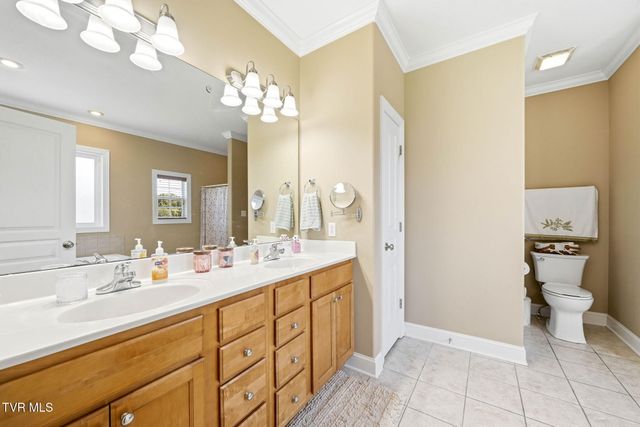 20 Vesta Sue Court, Jonesborough, TN 37659