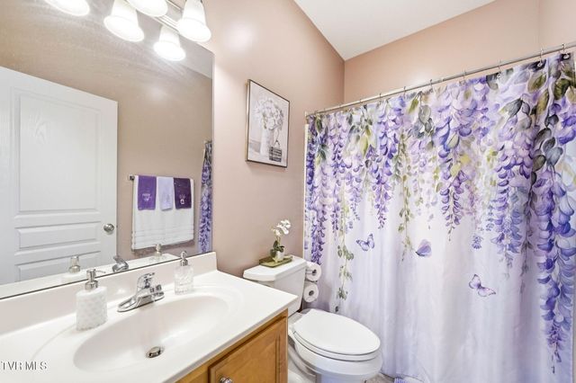 20 Vesta Sue Court, Jonesborough, TN 37659