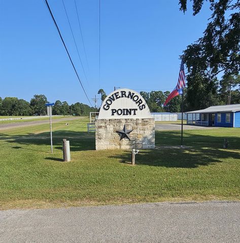 342 Governor Hogg Drive, Point Blank, TX 77364