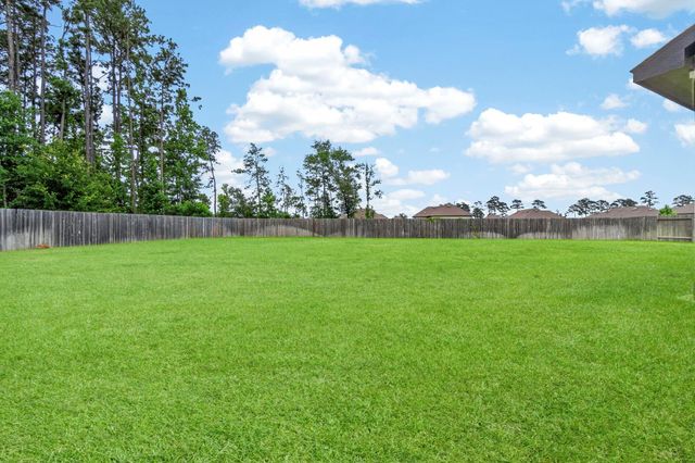 14268 Black Canyon Lane, Conroe, TX 77384