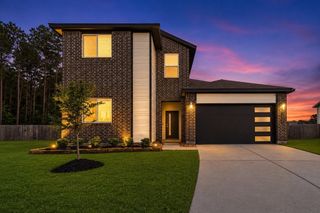 14268 Black Canyon Lane, Conroe, TX 77384