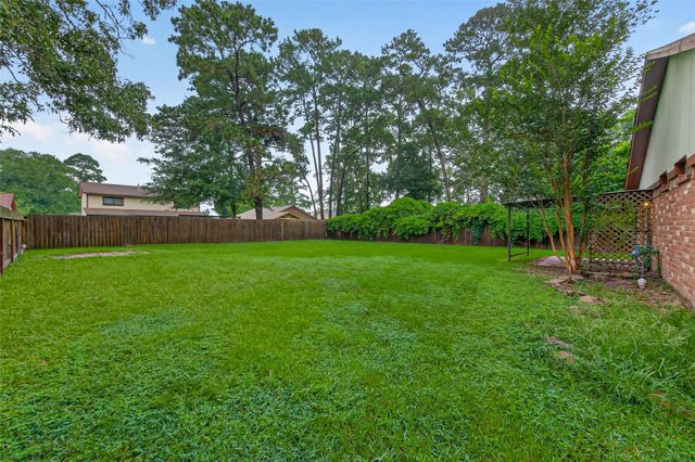 3319 Abbey Field Lane, Porter, TX 77365