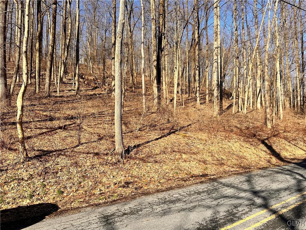 6252 Hickory Road, Washington Twp, PA 18080
