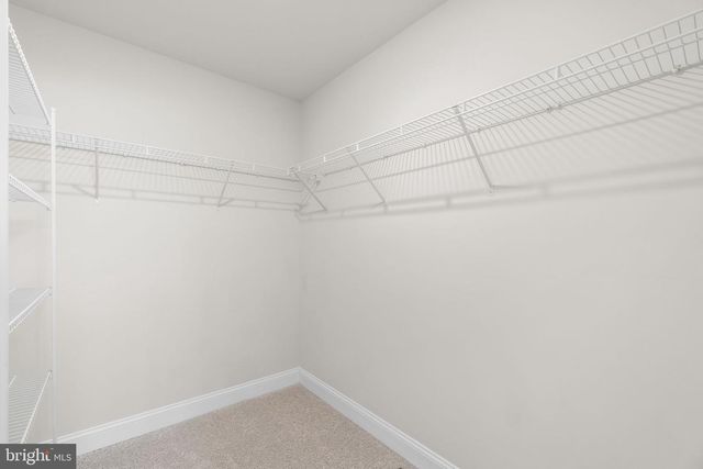 749 SCARLET SKY DR, Westminster, MD 21157