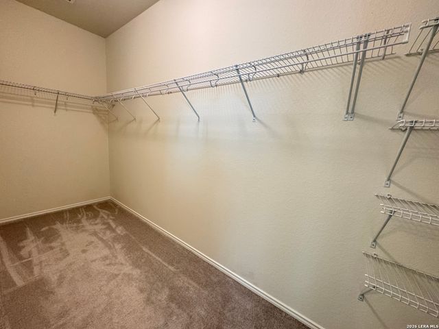 436 Holly Bush, New Braunfels, TX 78130