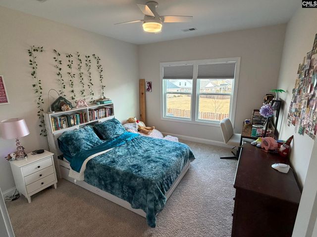 119 Rattle Trap Way, Lexington, SC 29072