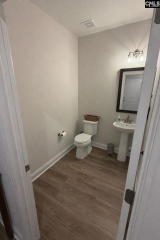 119 Rattle Trap Way, Lexington, SC 29072