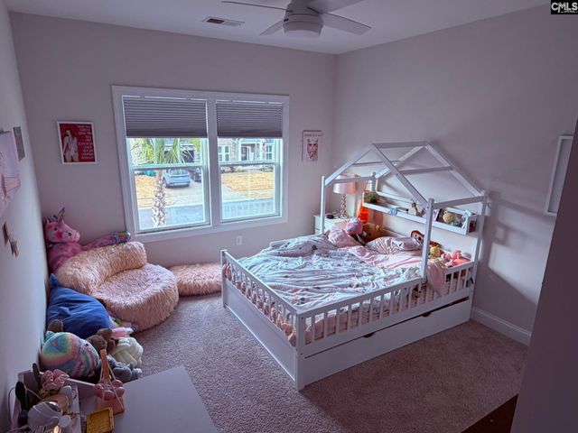 119 Rattle Trap Way, Lexington, SC 29072