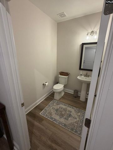 119 Rattle Trap Way, Lexington, SC 29072