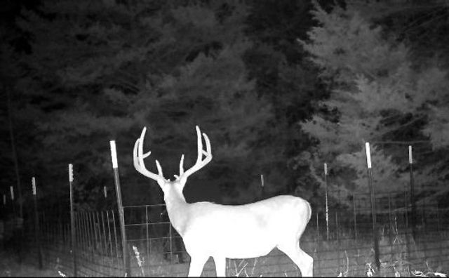3235 N Fm 312, Winnsboro, TX 75494