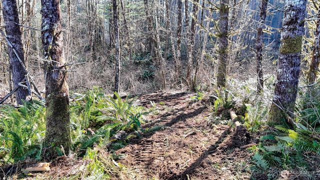 11 W Highland Y Road, Shelton, WA 98584