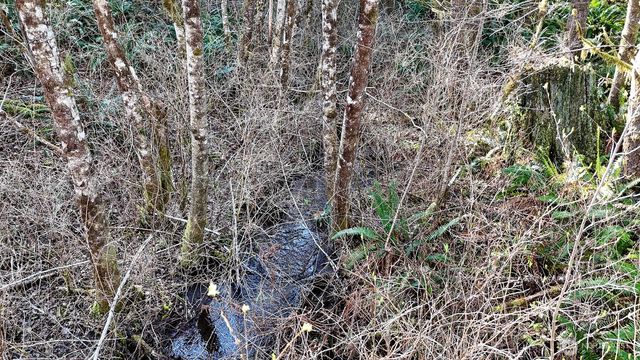 11 W Highland Y Road, Shelton, WA 98584