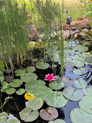 46527 Sunset View Way, Parker, CO 80138