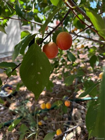 46527 Sunset View Way, Parker, CO 80138