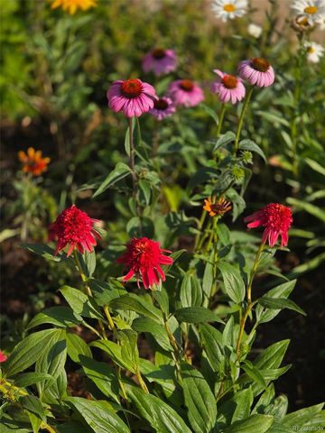 46527 Sunset View Way, Parker, CO 80138