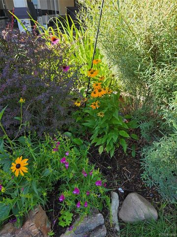 46527 Sunset View Way, Parker, CO 80138