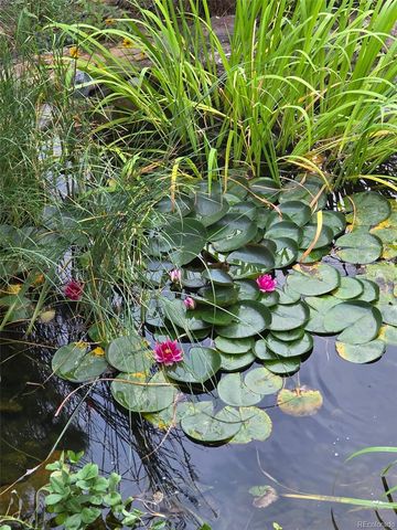 46527 Sunset View Way, Parker, CO 80138