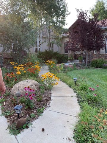 46527 Sunset View Way, Parker, CO 80138