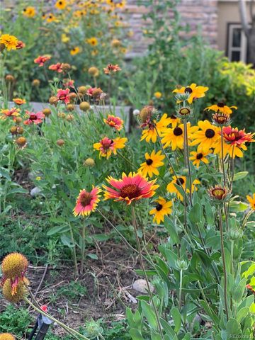 46527 Sunset View Way, Parker, CO 80138