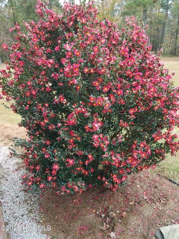 1052 N Creek Drive, Belhaven, NC 27810