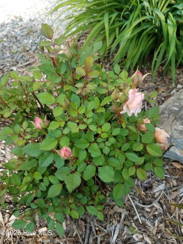 1052 N Creek Drive, Belhaven, NC 27810