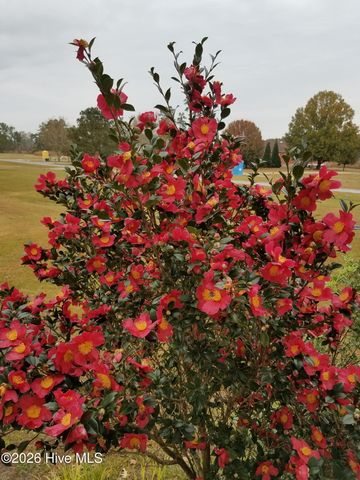 1052 N Creek Drive, Belhaven, NC 27810