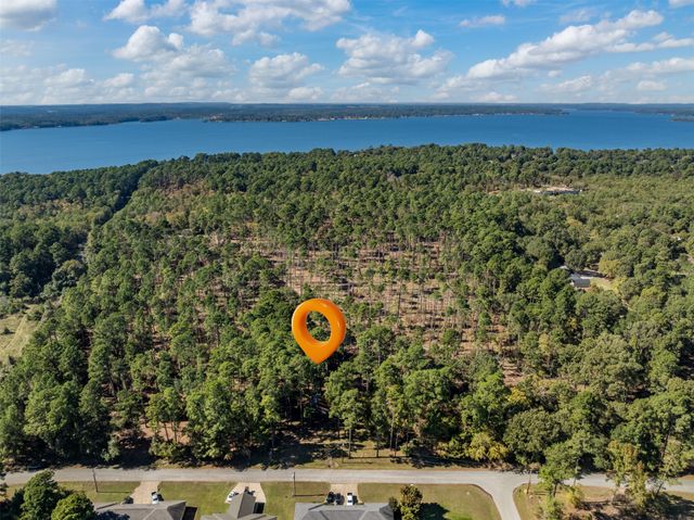 17151 Pintail Drive, Flint, TX 75762