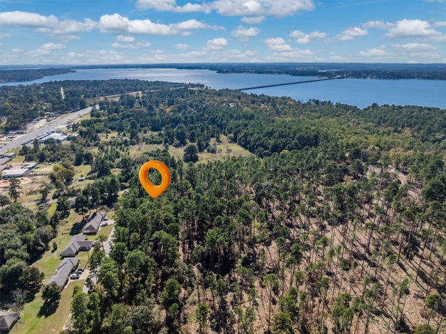 17151 Pintail Drive, Flint, TX 75762