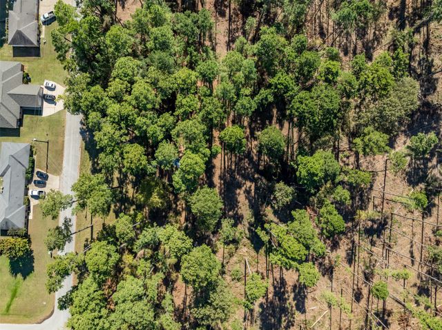 17151 Pintail Drive, Flint, TX 75762