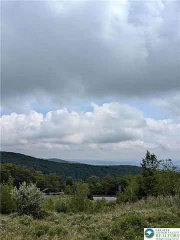 75 Coyote Drive, Penn Forest Twp, PA 18229