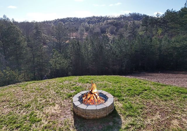 22 Walnut Spur, Mineral Bluff, GA 30559