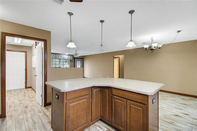 1204 OAK HAMMOCK LANE, Lady Lake, FL 32159