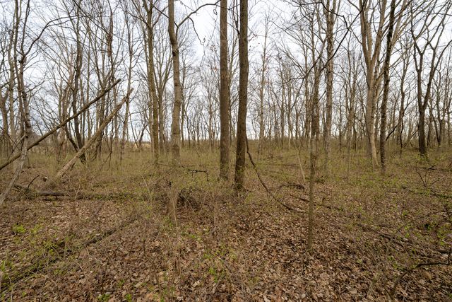 Lot 9 Raintree Woods Drive, Urbana, IL 61802